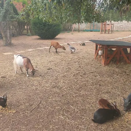 Villa Maison D'hôte Privatisée Avec Piscine Et Jacuzzis 15 Pers Max *