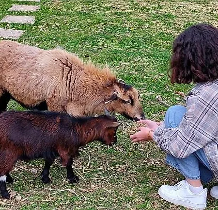 Maison D'hôte Privatisée Avec Piscine Et Jacuzzis 15 Pers Max * La Couture-Boussey