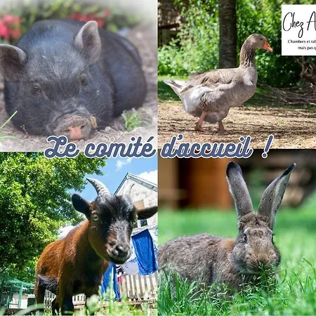 Maison D'hôte Privatisée Avec Piscine Et Jacuzzis 15 Pers Max Villa